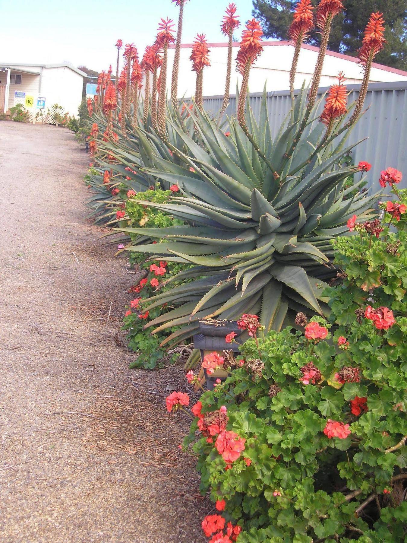 Moonta Bay Accommodation Port Moonta Exterior foto